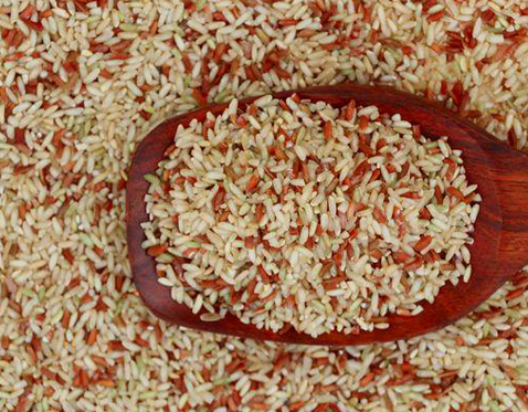 RAJAMUDI RICE